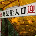 たらいうどん新見屋の写真_567416