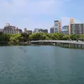 大濠公園の写真_568162