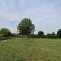 木場公園の写真_569573