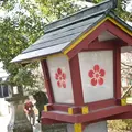 太宰府天満宮の写真_570392