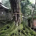 赤猪岩神社の写真_570586