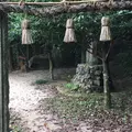 黄泉比良坂の写真_570592
