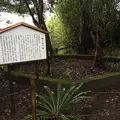 木花神社の写真_570689