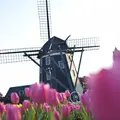 ハウステンボスの写真_570748