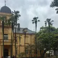 旧岩崎邸庭園の写真_570956