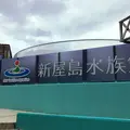 新屋島水族館の写真_573350