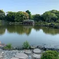 清澄庭園の写真_574237