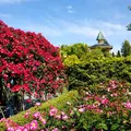 高岡おとぎの森公園の写真_574447