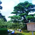 兼六園の写真_574722