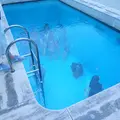 金沢21世紀美術館の写真_574733