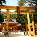 穂高神社の写真_576776