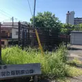 赤羽自然観察公園の写真_576808