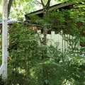 cafe Karinの写真_577010