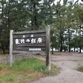 気比の松原の写真_577253