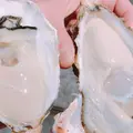 森田水産の写真_579485