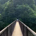 回顧の吊橋の写真_580236
