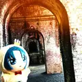 南禅寺の写真_581560