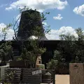グリルズハット（GRILL`SHAT）の写真_584839
