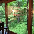ボリジの写真_585662