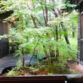 石心の写真_585677
