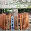 香椎宮の写真_600035