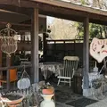 グーチョキパンの写真_606810