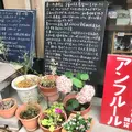 en fleur（アンフルール）の写真_609503