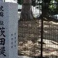 茨田堤の写真_609941