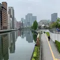 中之島公園の写真_609948