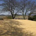 明日香村の写真_609987