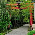 來宮神社の写真_612344