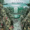 シンガポール・チャンギ国際空港（Singapore Changi International Airport）の写真_612979
