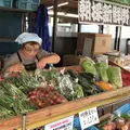 ブルーベリー明野の写真_613634