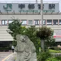 宇都宮駅の写真_615678