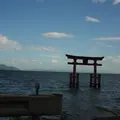 白鬚神社の写真_618648