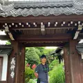 義仲寺の写真_618674