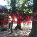 卯子酉様の写真_619520