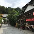 照の恵の写真_622827