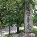 観世音寺の写真_622832