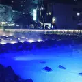 湯畑の写真_627058