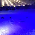 草津温泉の写真_627201