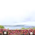  Lover’s Cape（恋人岬）の写真_629289