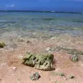 Gun Beach（ガン・ビーチ）の写真_629309