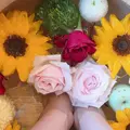 【嵐湯】ー arashiyuーfoot massage&foot spaの写真_629776