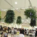 たこせんべいの里の写真_629778