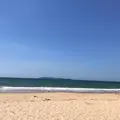 三苫海水浴場の写真_631364