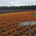 ファーム富田の写真_632719