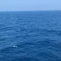 新日本海フェリー 小樽フェリーターミナルの写真_632946