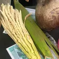ココナッツファームの写真_635113