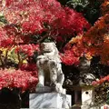 香取神宮の写真_636498
